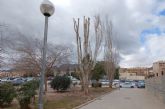 El Ayuntamiento de Lorca retira tres ejemplares de árbol enfermos de la especie 'populus' con riesgo de caída situados en el Parque de Las Artes Escénicas