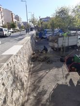 El PSOE exige a Fulgencio Gil explicaciones urgentes sobre la tala de varios ejemplares de moreras sanas en el parque de San Diego