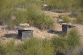 Medio Ambiente abre los montes públicos a los apicultores para favorecer la biodiversidad y la gestión sostenible del territorio