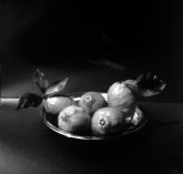 La Logia del Museo de Bellas Artes muestra la fotografa estenopeica de Damin Lajara