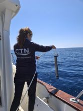 CTN presentar� NOISEA en el Congreso de la Sociedad Europea de Cet�ceos en las Azores