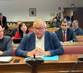 El PP acusa a Morn en el Senado de 'mentir y de romper por las bravas los compromisos legales y morales con Portmn' y le exige la retirada de los estriles