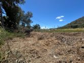 El Ayuntamiento de Blanca realiza tareas de desbroce y limpieza en la rambla junto al Pol�gono Industrial San Roque