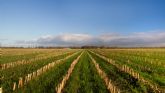 La agricultura regenerativa gana peso en la agenda del campo ib�rico ante la presi�n clim�tica, normativa y de mercado