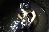 Bomberos de Cartagena rescatan a un perro atrapado en un pozo de Calblanque