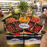 Arranca la campaña de fruta de hueso marcada por una alta demanda de producto