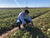 El consejero de Agricultura visita la zona ms afectada por el granizo del lunes