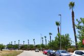 Comienza la poda pre-verano de las palmeras del municipio