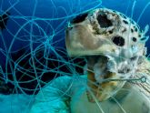 Redes fantasmas, la muerte invisible de los océanos