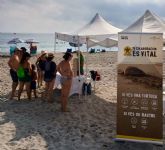 Las tortugas marinas y la fauna silvestre son las protagonistas de los espacios naturales de la Regin este fin de semana