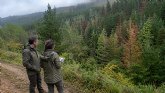 El Caf� Forestal analiza alternativas forestales ante el deterioro sanitario de las con�feras en la cornisa cant�brica