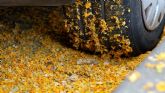 El PSOE reclama un refuerzo urgente de la limpieza y una mejor coordinaci�n municipal ante la acumulaci�n de restos vegetales en la v�a p�blica