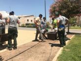 El Ayuntamiento mejora la jardinera del Parque de San Jos con la colocacin de 19 maceteros con nuevas plantas, la mejora del sistema de riego y la poda de arbustos