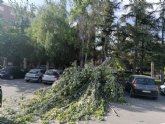 Se cierra y desaloja el parque municipal “Marcos Ortiz” por la caída de un árbol a consecuencia de los efectos del viento, que ha dañado dos vehículos