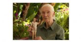 Barbie presenta a Barbie Jane Goodall, fabricada con pl�stico reciclado procedente del oc�ano