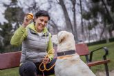Tres claves para detectar si perros y gatos sufren diabetes
