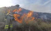 Servicios de emergencias han atendido un incendio forestal en Zarcilla de Ramos, Lorca