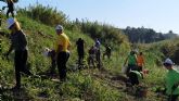 El Programa de Voluntariado Ambiental ¡Voluntari@s Naturalmente! de Molina de Segura cierra el año con un balance muy positivo en cuanto a participación y acciones desarrolladas