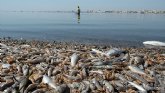 Ecologistas en Accin aportar informacin complementaria al Convenio de Barcelona en su queja sobre el Mar Menor