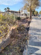 Indignacin en Espinardo ante el inicio de la tala de rboles en Teniente Montesinos