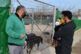 La protectora Las Torres busca voluntarios para ayudar en el centro municipal de proteccion animal