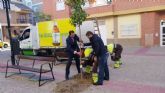 El Ayuntamiento cuida a diario más de 3.000 jardines y alineaciones de arbolado en Murcia y pedanías