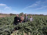 Murcia lidera la exportación de alcachofa con el 60 por ciento del total nacional