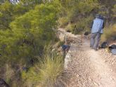 Protección y recuperación de los antiguos bancales de cultivo de Sierra Espuña