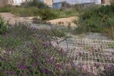 Ciudadanos denuncia el derrumbe de la valla que protege el Parque Arqueolgico del Molinete y su estado de abandono