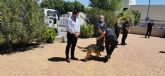 La Polica Local de Cehegn presenta su nueva Unidad Canina