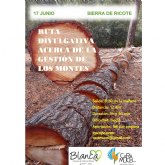 Ruta divulgativa sobre gestión forestal en la Sierra de Ricote