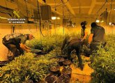 La Guardia Civil desmantela dos puntos de cultivo, elaboracin y venta de varios tipos de droga en Albudeite