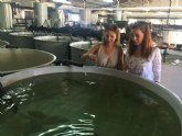 El Imida estudia cmo mejorar el proceso de alimentacin de la dorada para incrementar la rentabilidad y minimizar los residuos orgnicos