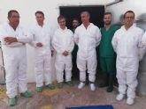 El primer centro regional de inseminación artificial de porcino en Lorca amplía su capacidad para 40 nuevas cabezas de porcino