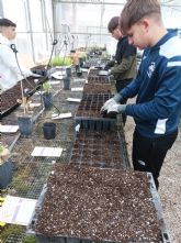 Ms de una treintena de alumnos aprenden a inocular hongos a plantas vulnerables y aumentar su resistencia en condiciones climticas extremas