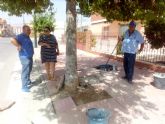 La Brigada de Intervención Rápida del Ayuntamiento realiza distintas obras de mejora en la pedanía de La Parroquia gracias a la participación ciudadana