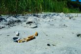 Cinco pasos para un verano m�s saludable y unas playas m�s limpias
