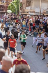 El cuarto encierro de las Fiestas Patronales de Blanca en honor a San Roque deja vistosas carreras por Gran V�a
