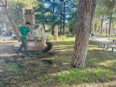 Comienzan las actuaciones del Plan para la Conservacin y Mejora de los Espacios Verdes Municipales
