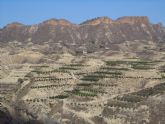 Cambiemos Murcia alerta de la roturacin 'masiva' de tierras en el sur del municipio