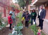 El Ayuntamiento de Murcia contina con la plantacin de ms de 120 rboles frutales en los huertos escolares del municipio