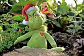 S�ndrome del Grinch: de la melancol�a al odio por las navidades.Tips para superar el mal humor t�pico de estas fechas