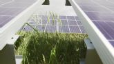 Iberdrola se consolida como el mayor promotor de energía solar en el mercado británico
