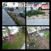 MC: Castejón y Arroyo abandonan los parques y jardines del municipio mientras ´decoran´ el centro con flores que se les caen