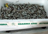 La Guardia Civil detecta la captura ilícita de cerca de cinco kilos de pescado inmaduro en Puerto de Mazarrón
