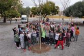 La campaña de plantación de árboles de Educación llevará 84 nuevos ejemplares a los colegios del municipio