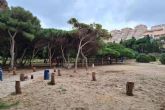 El Ayuntamiento de Cartagena repoblará con árboles jóvenes la Cala del Pino