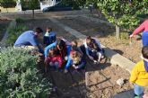 La visita de los alumnos de la Guardera municipal al huerto escolar inaugur los actos para celebrar los das del rbol y del Agua
