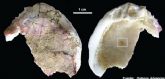 Recientes investigaciones de los materiales de la Cueva de los Aviones muestran a unos neandertales mas humanos