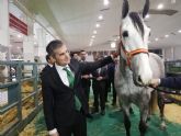 Equimur acoge a 400 ejemplares de equinos en su 24 edicin